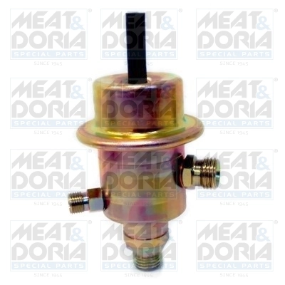 Fuel Pressure Regulator